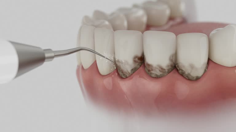 Reliable Dental contractor in Scottdale, GA by Dentist Open Now